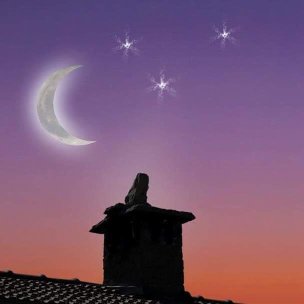 B&B Luna E Stelle Premilcuore Ngoại thất bức ảnh